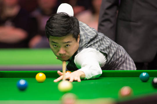 种子选手的 种子选手的