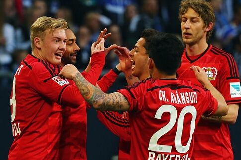 有限理性 有限理性